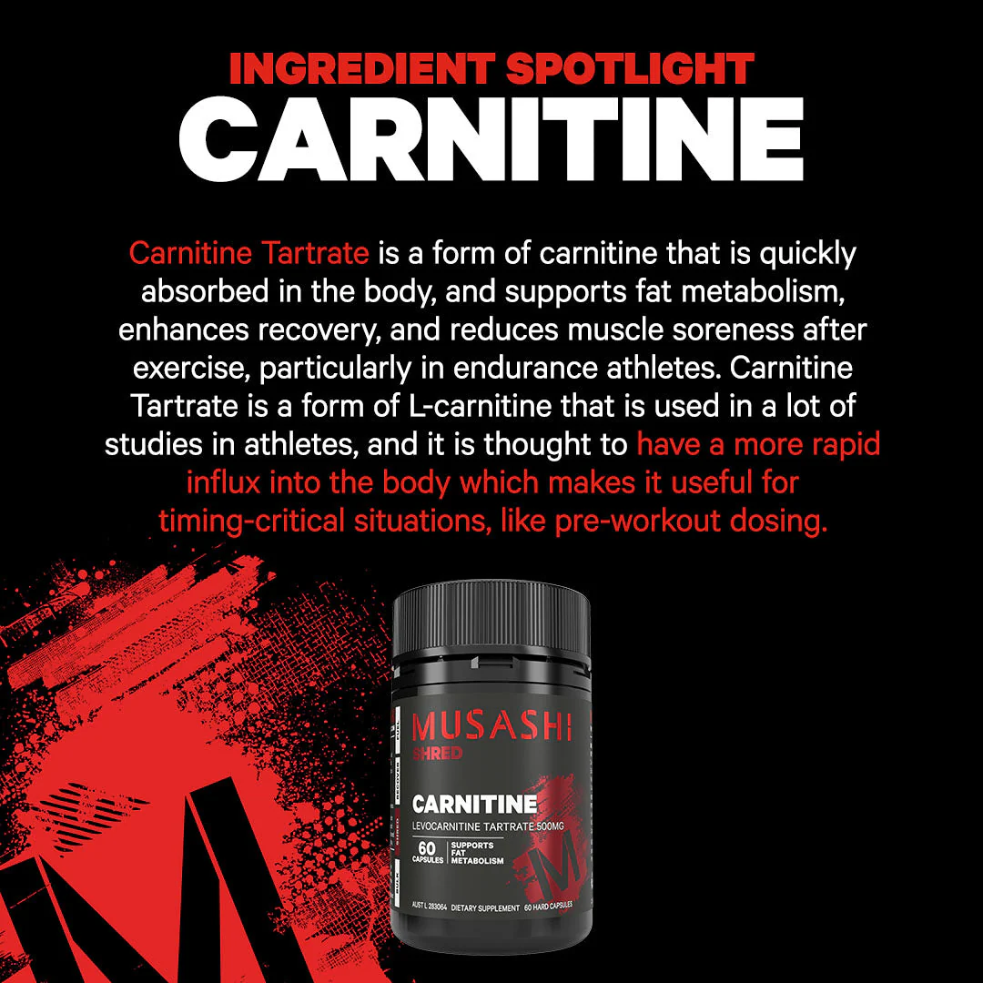 Carnitine 60 Capsules - Image 3