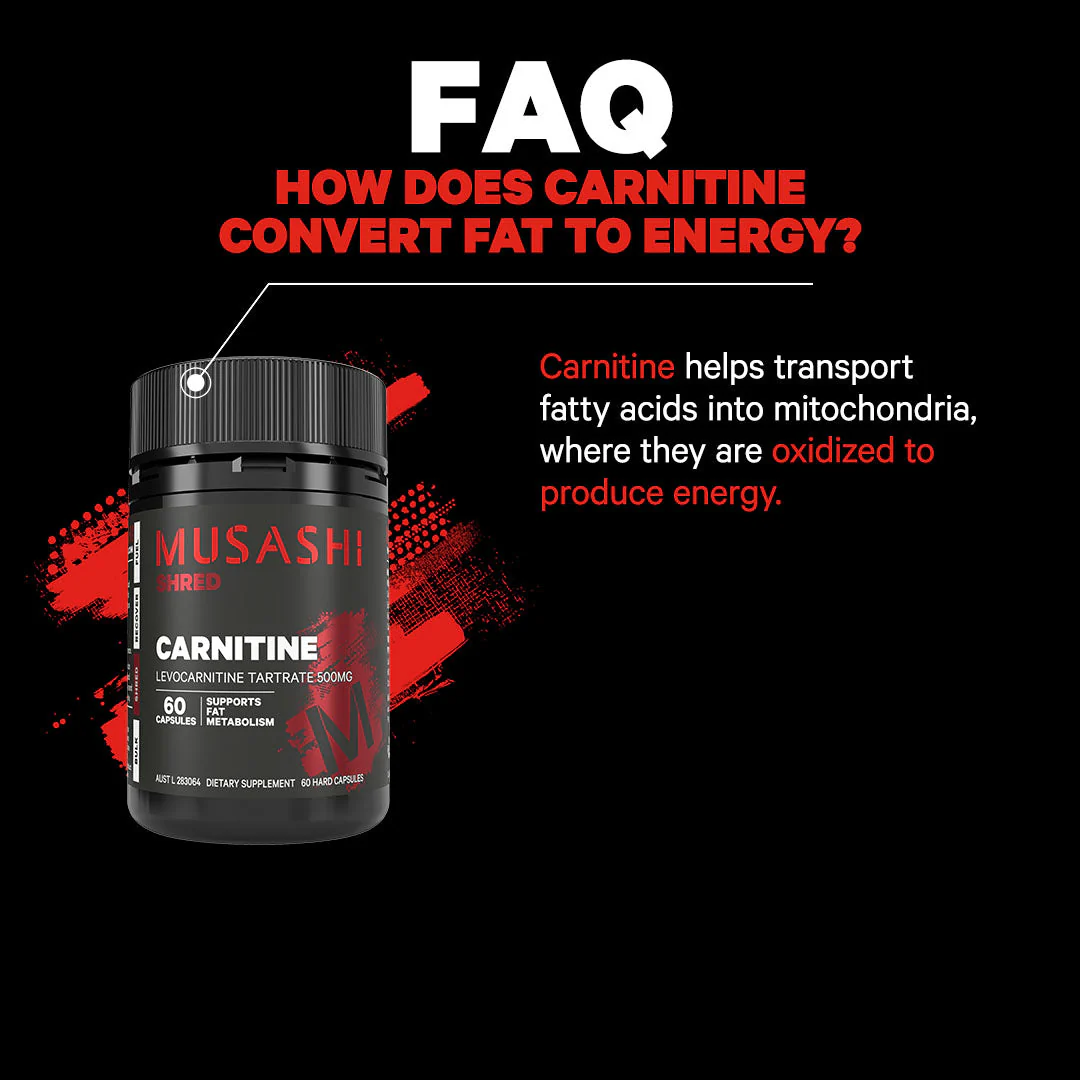 Carnitine 60 Capsules - Image 4