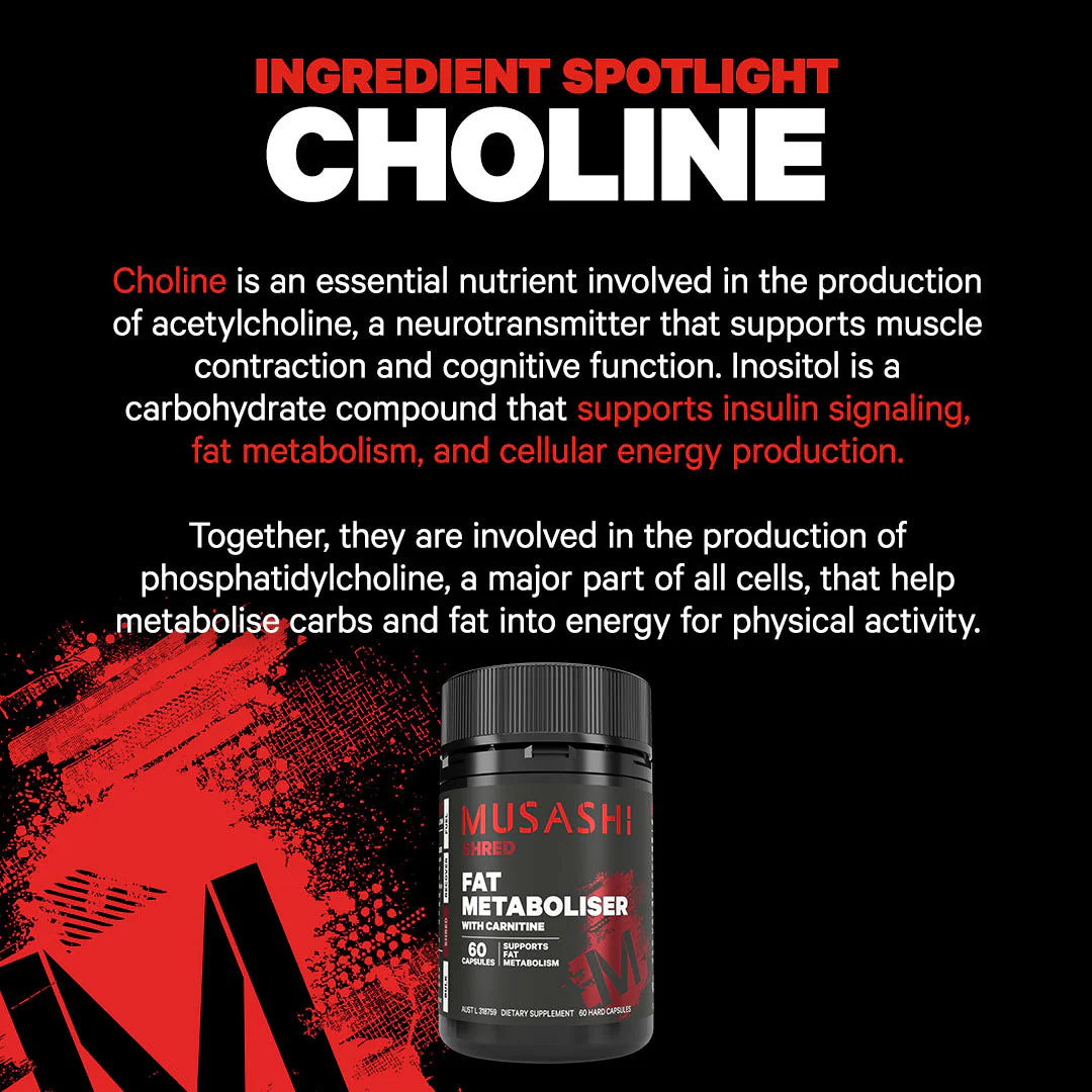 Fat Metaboliser with Carnitine 60 Capsules - Image 5