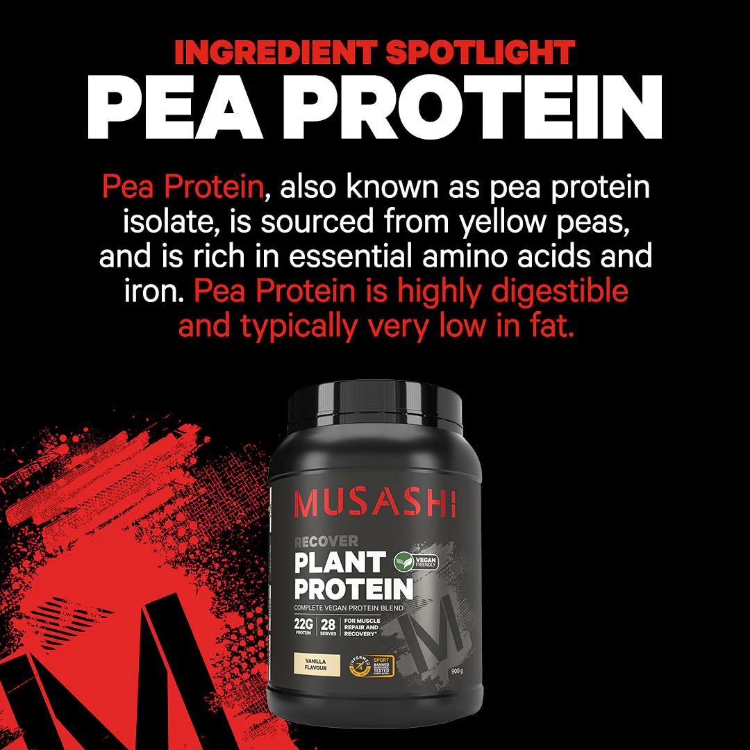 Plant Protein Powder - Image 4