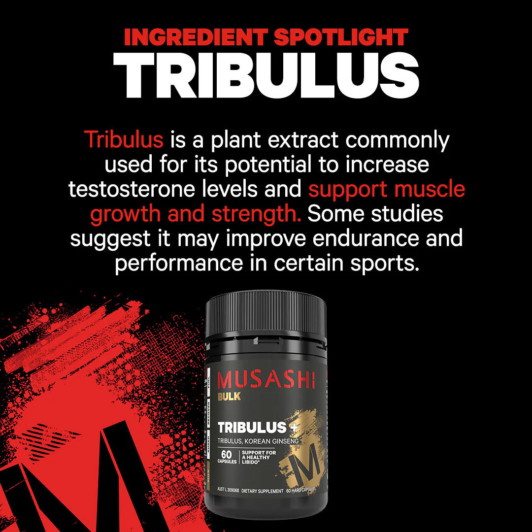 Tribulus+ 60 Capsules - Image 5